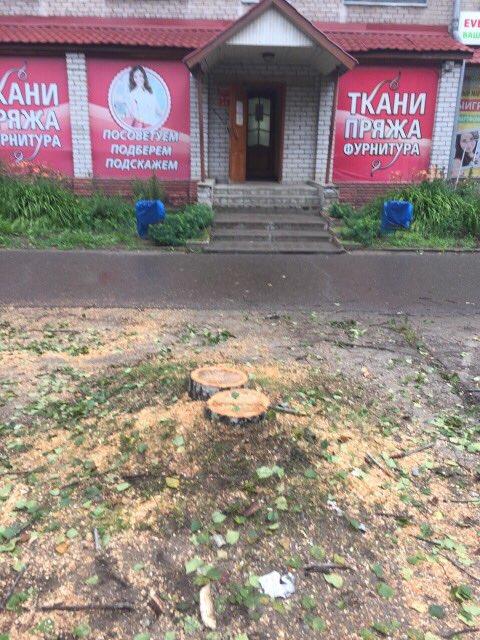 Горожане беспокоятся о зеленых насаждениях